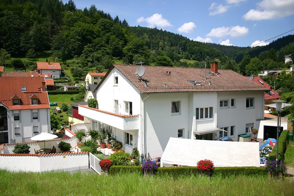 Apartmenthaus "Zum Lowen" Heidelberg - Ziegelhausen Eksteriør billede