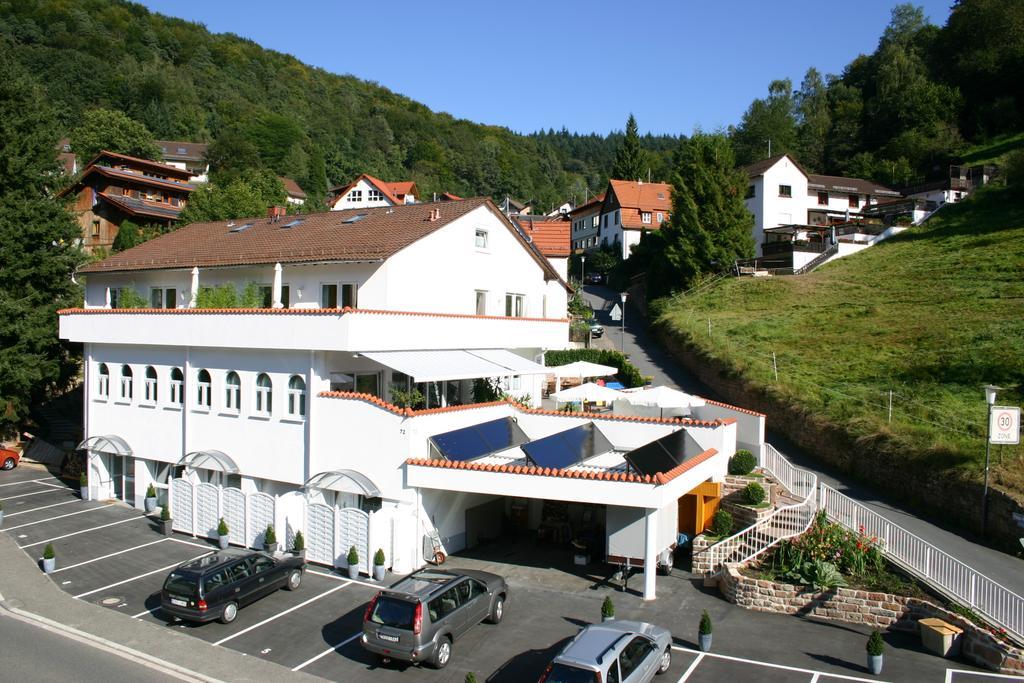 Apartmenthaus "Zum Lowen" Heidelberg - Ziegelhausen Eksteriør billede
