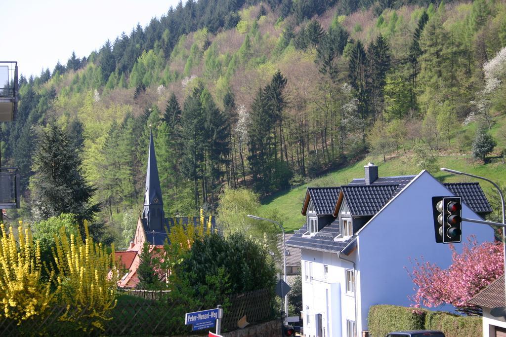Apartmenthaus "Zum Lowen" Heidelberg - Ziegelhausen Eksteriør billede