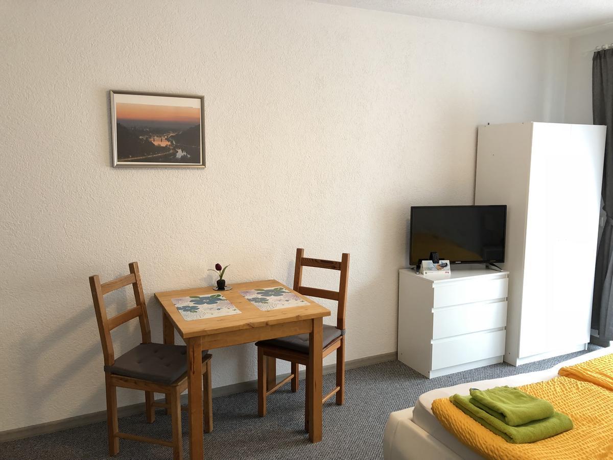 Apartmenthaus "Zum Lowen" Heidelberg - Ziegelhausen Eksteriør billede